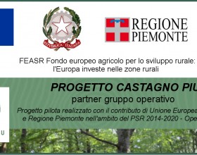 FEASR Fondo europeo agricolo per lo sviluppo rurale – Castagno Più