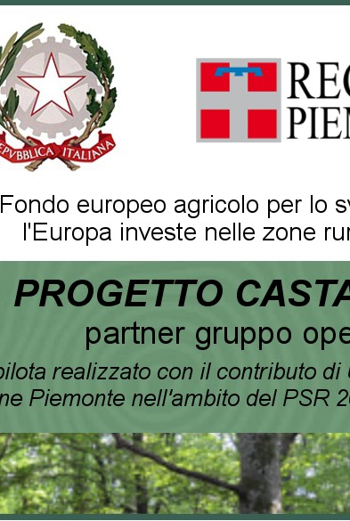 FEASR Fondo europeo agricolo per lo sviluppo rurale – Castagno Più